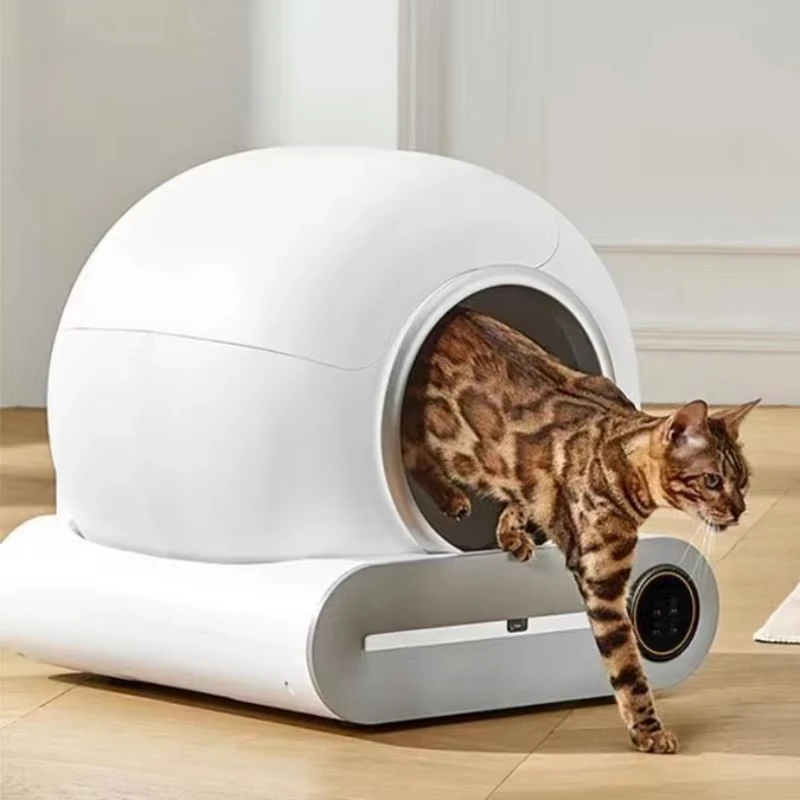 Caixa de Areia Inteligente para Gatos